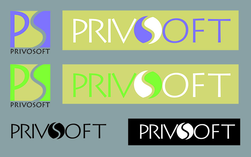 Logo for software company