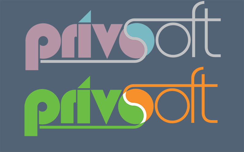 Logo for software company