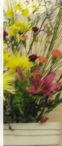 Kanada Dojocho President NY Center