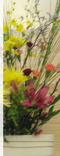 Kanada Dojocho President NY Center