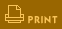PRINT
