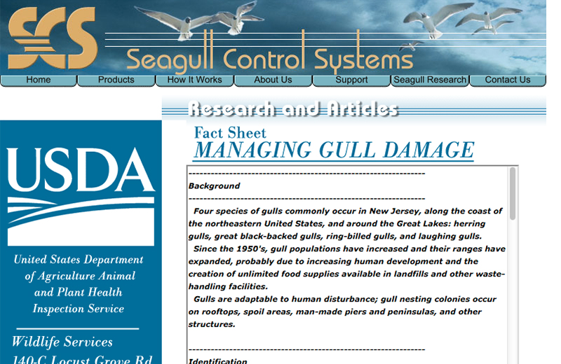 Seagull Control Systems page
